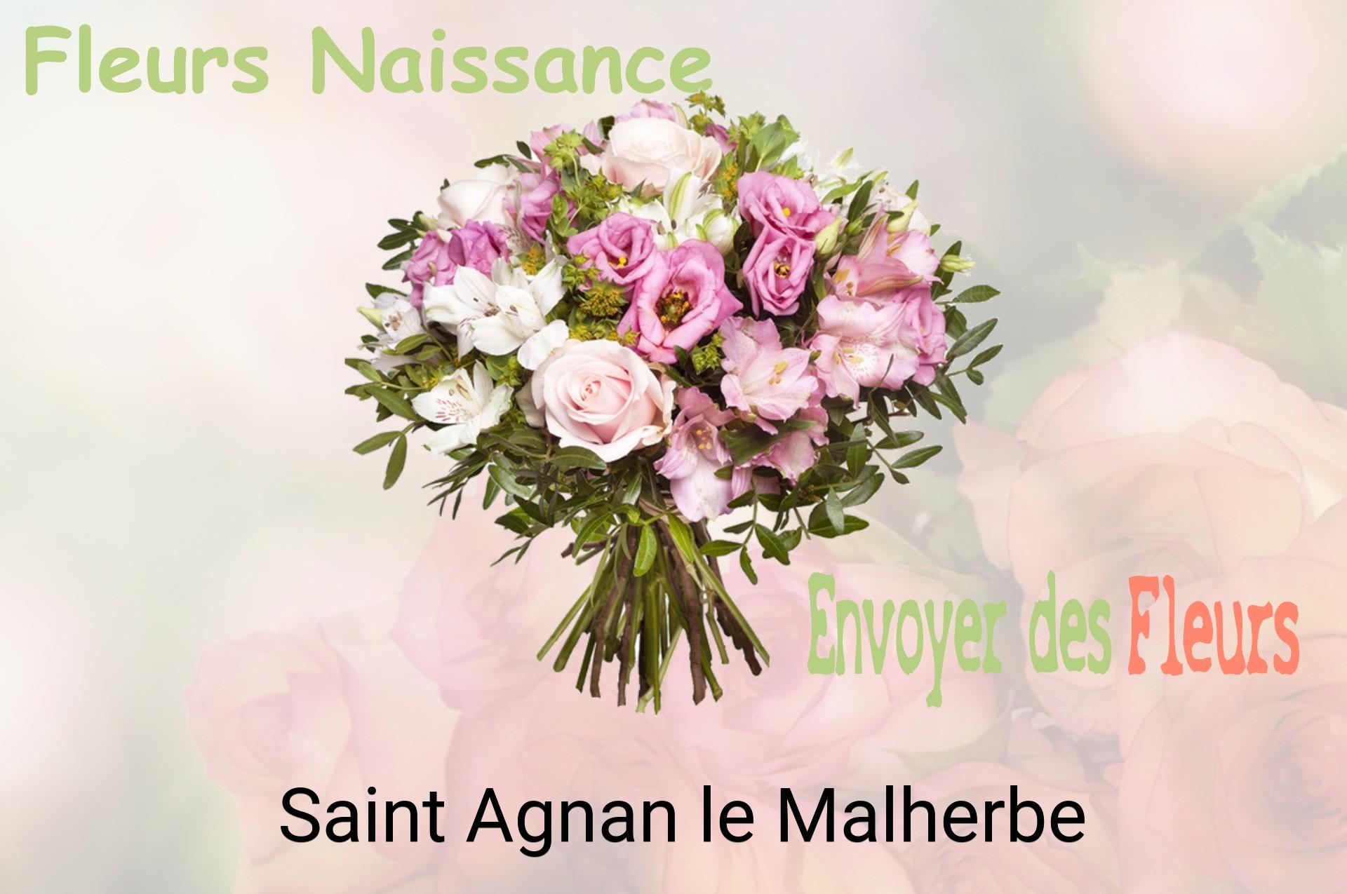 Bouquet de fleurs de naissance livré à Saint-Agnan-le-Malherbe